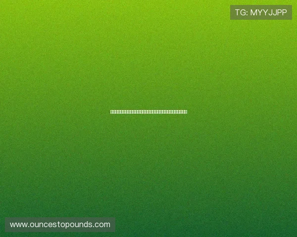 爱体育平台为用户打造互动交流的体育社区,分享运动心得与比赛体验 爱体育平台为用户打造互动交流的体育社区,分享运动心得与比赛体验