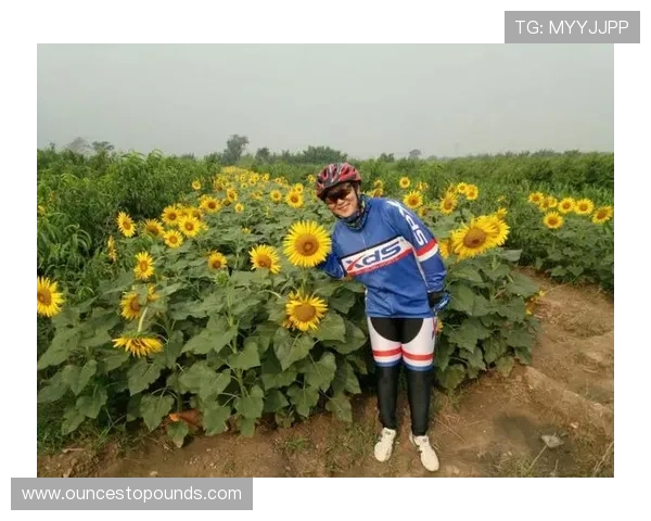 乐竞体育新地址的使用技巧，帮助用户轻松掌握平台操作流程